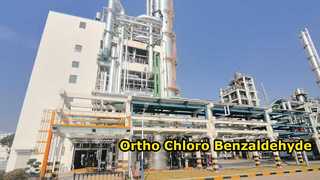Пара хлорбензальдегида-Changzhou Xindong Chemical Industry Development Co., Ltd.
