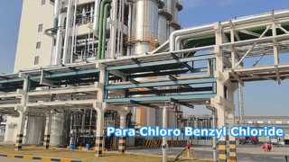 Парахлорбензилхлорид - Changzhou Xindong Chemical Industry Development Co., Ltd.